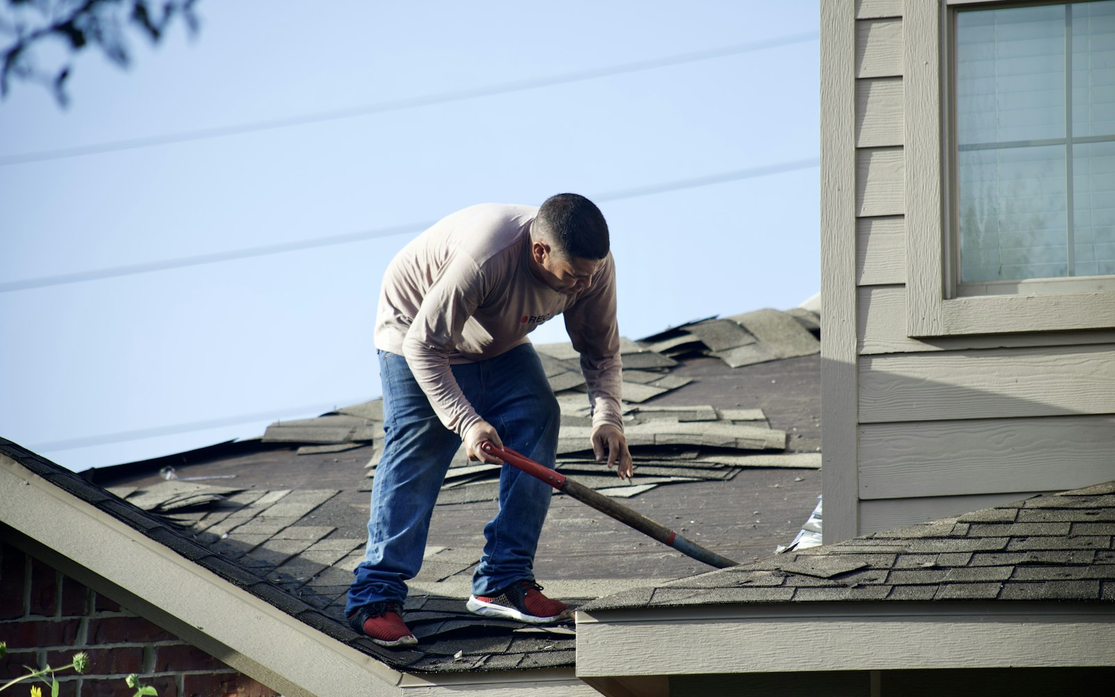 Roofer in jeans and a long-sleeve shirt stripping old asphalt shingles off a house roof with a pry bar
